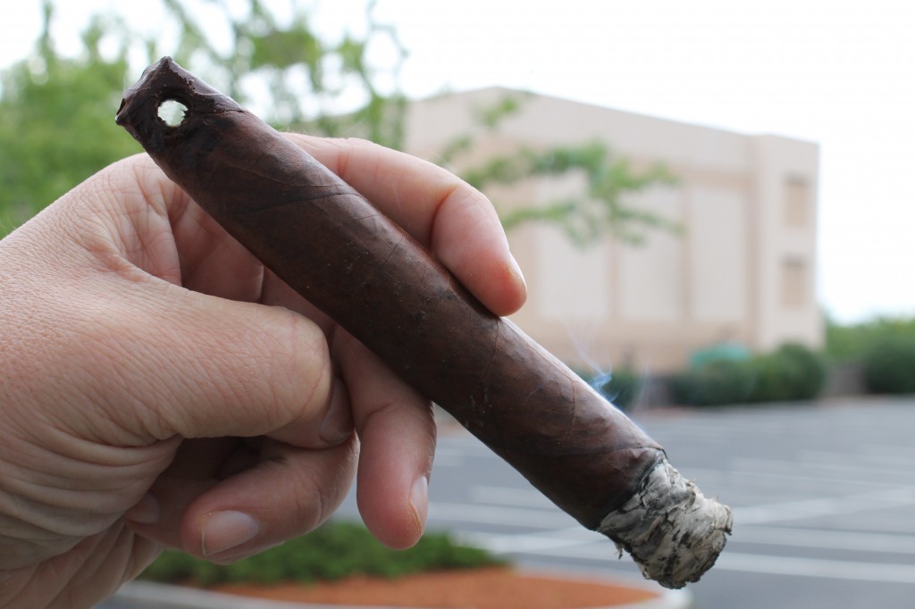 La Flor Dominicana Capitulo II