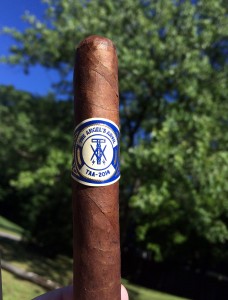 Angel's Anvil TAA Exclusive