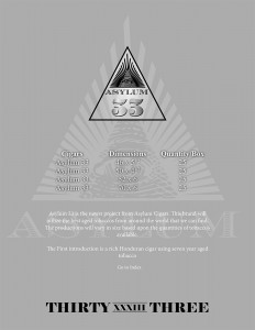 Asylum33