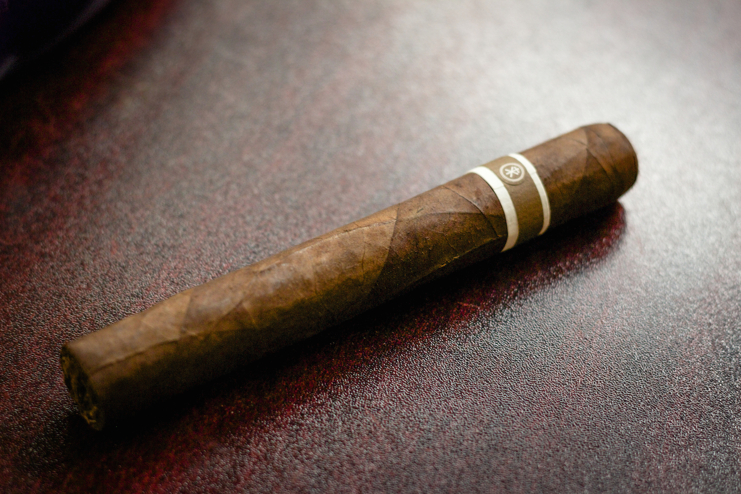CroMagnon Aquitaine