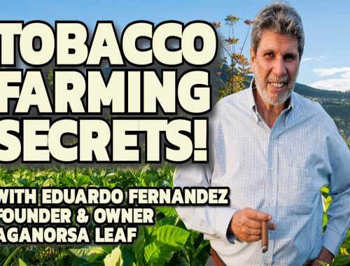 Tobacco Farming Secrets