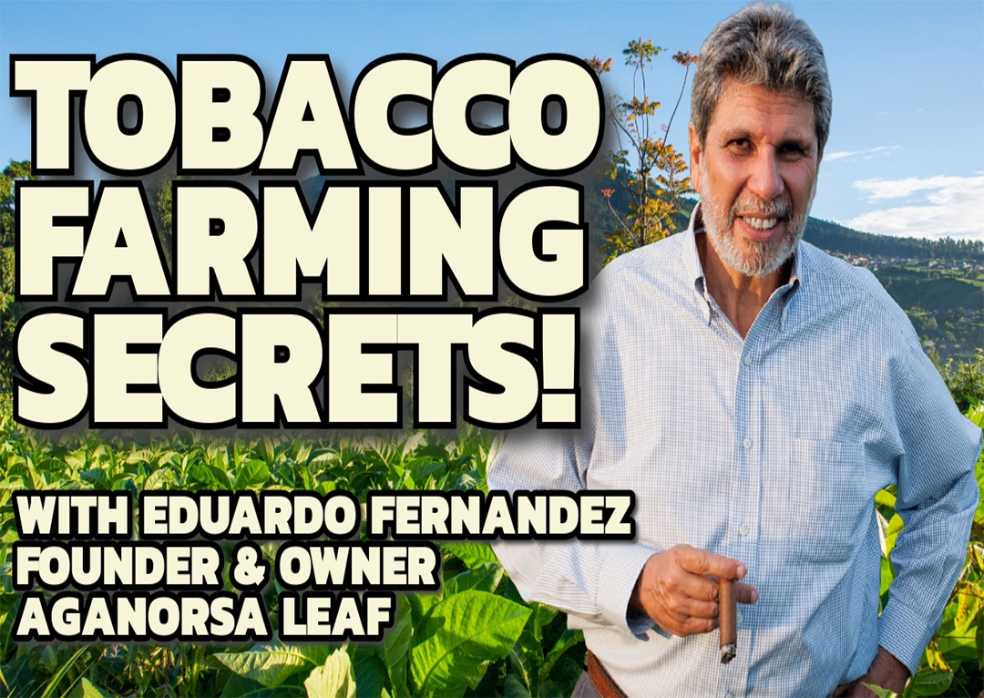 Tobacco Farming Secrets
