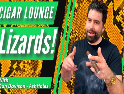 Lounge Lizards