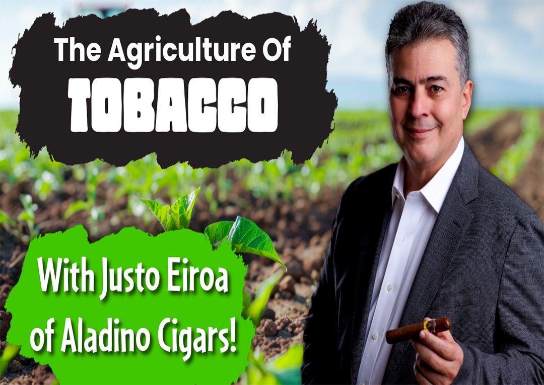 Agriculture of Tobacco